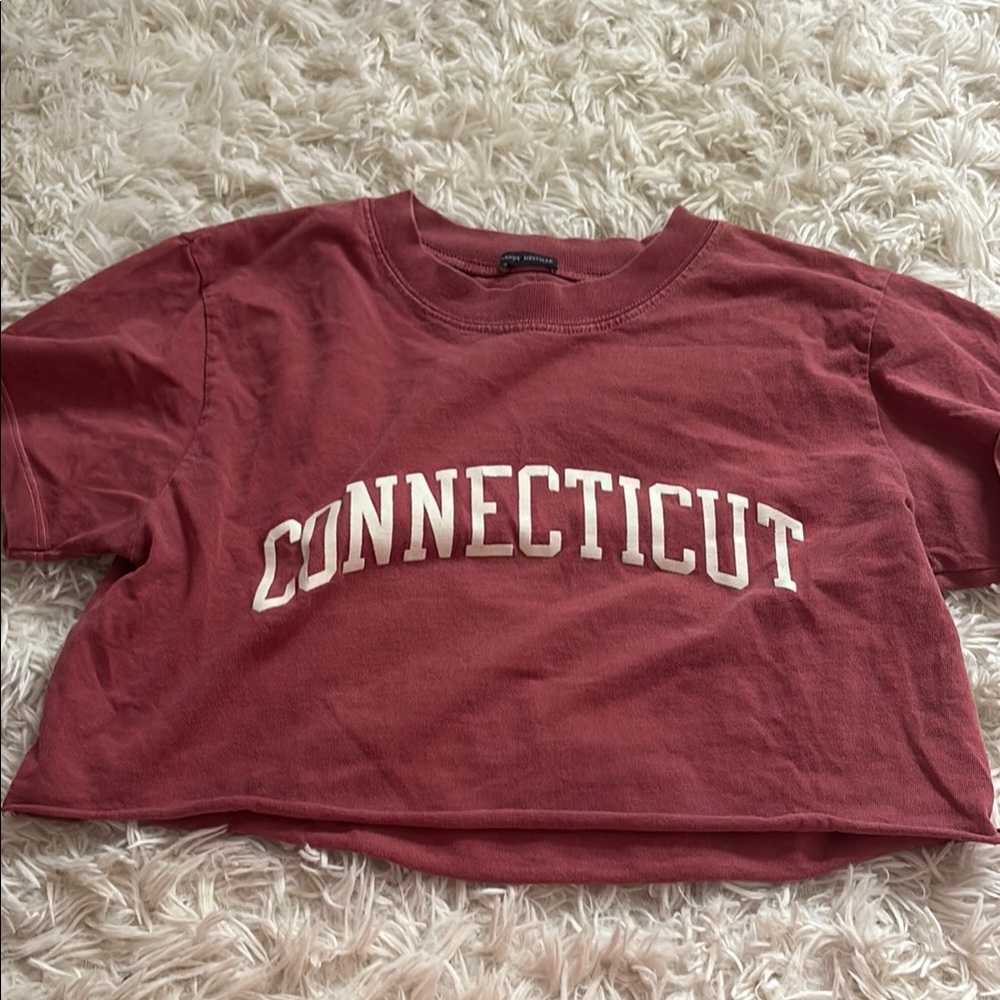 Brandy Melville Connecticut Crop Top